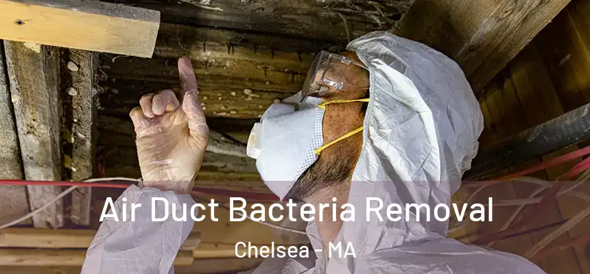 Air Duct Bacteria Removal Chelsea - MA
