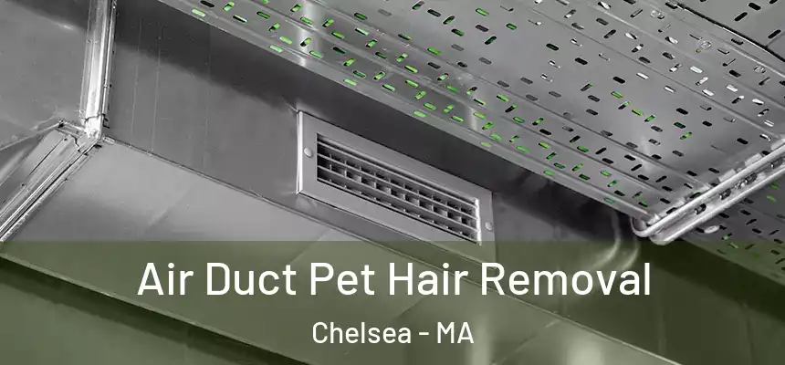  Air Duct Pet Hair Removal Chelsea - MA