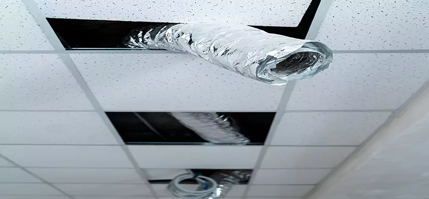 Our Air Duct Pet Hair Removal Services in Chelsea, MA