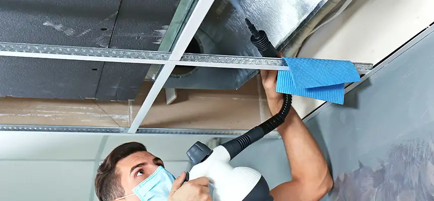 Our Air Duct Rodent Removal Services in Chelsea, MA