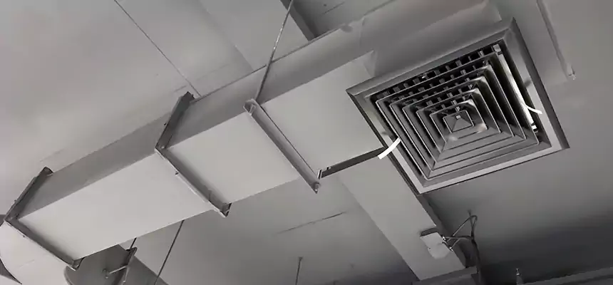 Restorative Allergy Relief Vent Cleaning – Coil, Blower & Housing Detail in Chelsea