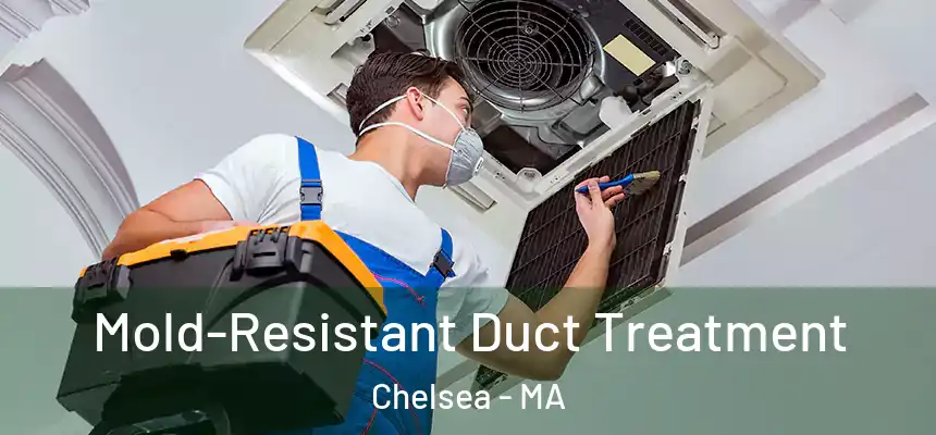 Mold-Resistant Duct Treatment Chelsea - MA