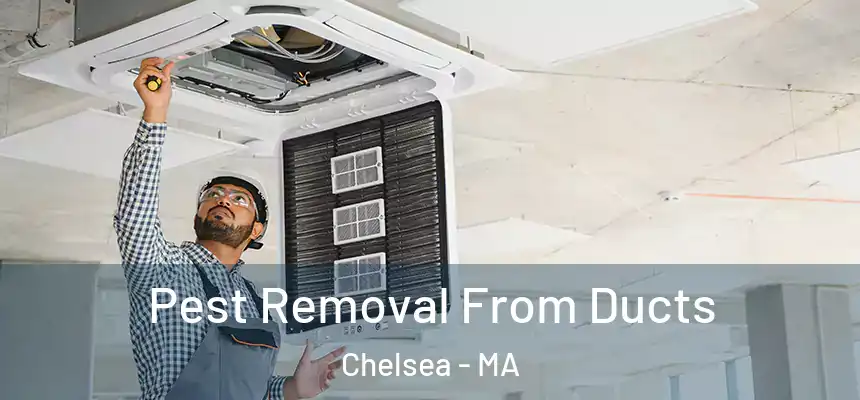  Pest Removal From Ducts Chelsea - MA