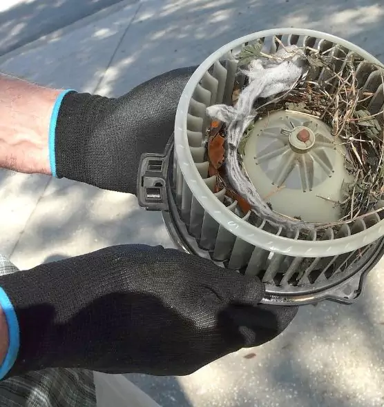 About Air Duct Mice Removal in Chelsea, MA