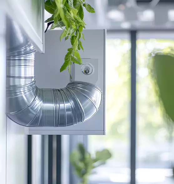 Professional Eco-Safe Dryer Vent Cleaning in Chelsea, MA