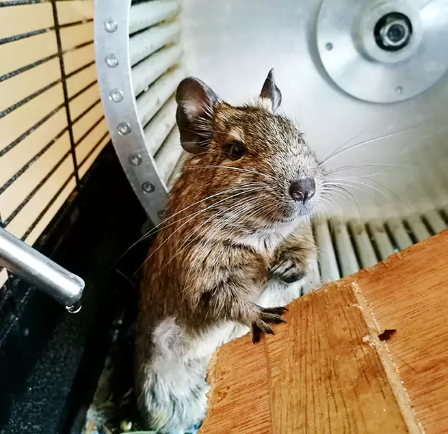 Why Homeowners & Businesses Trust Us Chelsea, MA