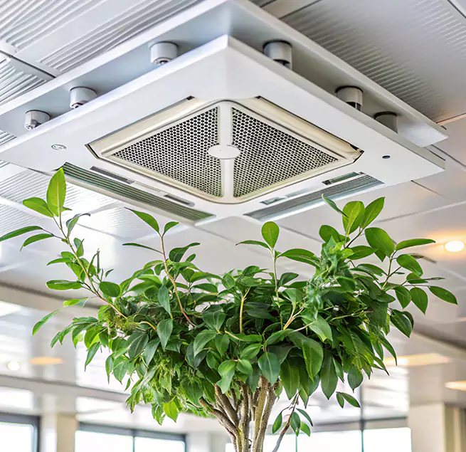 Why Homeowners & Businesses Trust Us in Chelsea, MA