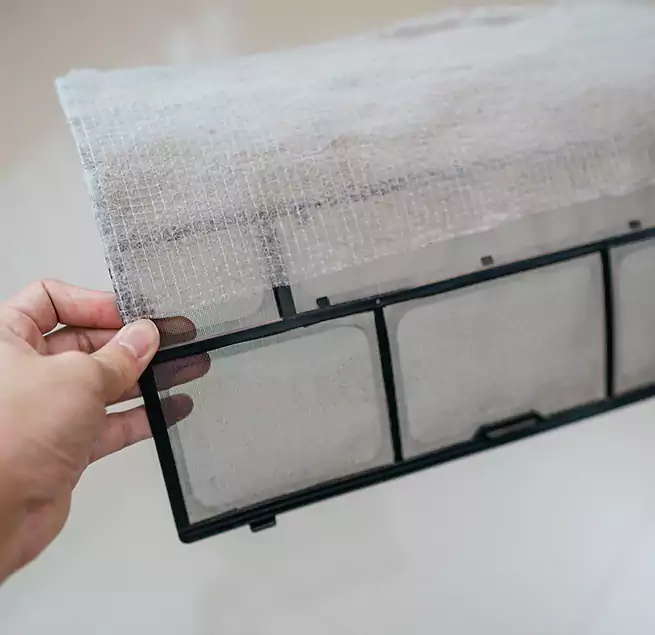 Why Homeowners & Businesses Trust Us in Chelsea, MA?