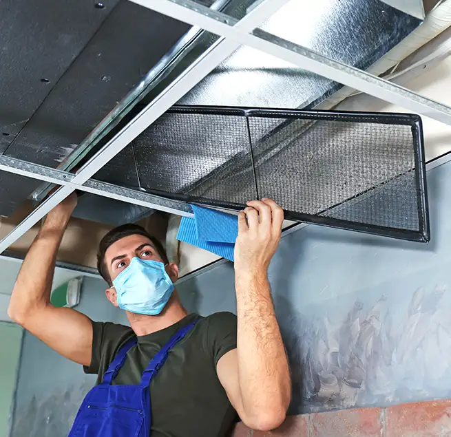 Why Homeowners & Businesses Trust Us in Chelsea, MA?