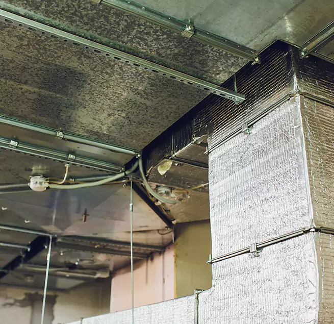 Why Homeowners & Businesses Trust Us in Chelsea, MA?