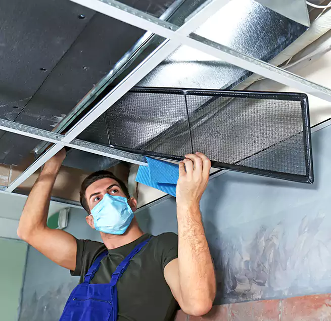 Why Homeowners Businesses Trust Us in Chelsea, MA