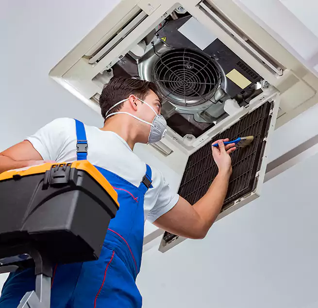 Why Homeowners & Businesses Trust Us in Chelsea, MA?